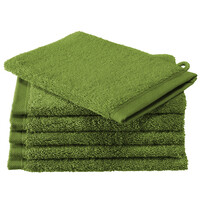 De Witte Lietaer Washandjes Contessa, Cactus - 16 x 21 cm - 6 stuks - Katoen