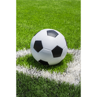 Voetbal Fleece deken Kick - 100 x 150 cm - Polyester