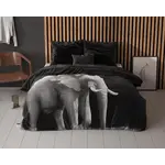 Sleeptime Dekbedovertrek Elephant Zwart
