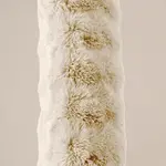 Primaviera DeLuxe Bodypillow Pompom Beige 140 x 20