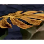 Dreamhouse Dekbedovertrek Durk Groen