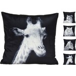 Koopman Kussen 45x45cm Wild Dier - Leeuw