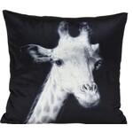 Koopman Kussen 45x45cm Wild Dier - Leeuw