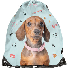 PASO Gymtas Zwemtas Teckel - 45 x 34 cm - Polyester