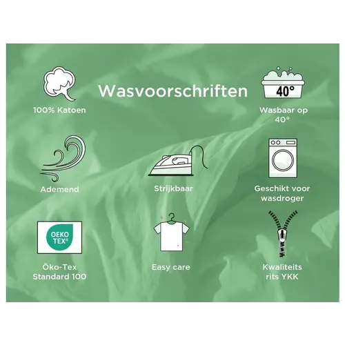 Disney Frozen dekbedovertrek - Eenpersoons - 140 x 200 cm / 60 x 70 cm - Katoen