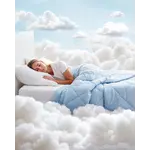 Dreamhouse Qmax Dekbed Blauw