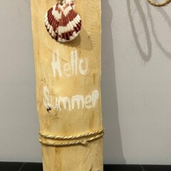 Koopman Hallo Zomer drijfhout decoratie plaquette