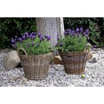 Koopman Aardappelmand lana d39xh31cm nature