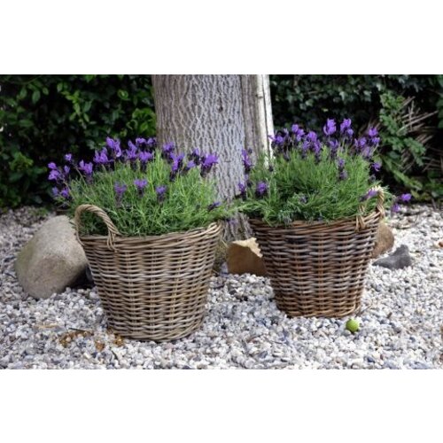 Koopman Aardappelmand lana d39xh31cm nature