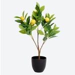 Koopman Kunstcitrusboom met pot 60 cm decorati