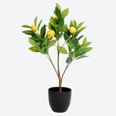 Koopman Kunstcitrusboom met pot 60 cm decorati