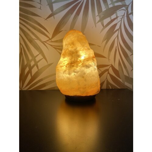 Koopman Zoutsteen lamp - DeLuxa - Absolu Chic - Zoutsteenlamp