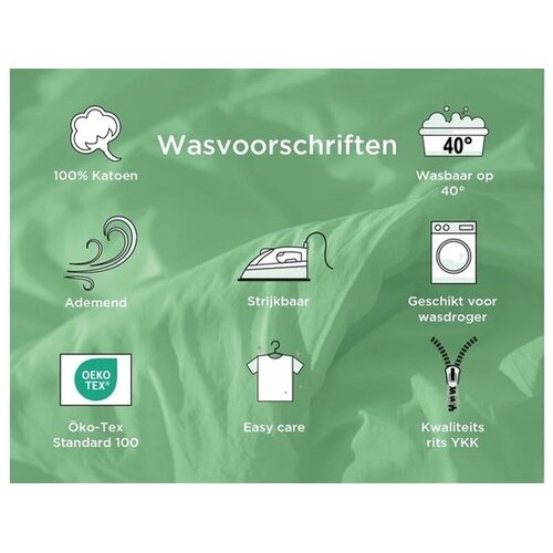 Disney Frozen Dekbedovertrek Sisters - 140 x 200 cm / 70 x 90 cm - Katoen