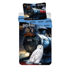 Harry Potter Dekbedovertrek Hogwarts Express - 140 x 200 cm + 70 x 90 cm - Katoen