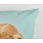 Good morning Kinderdekbedovertrek 100% katoen Paxy