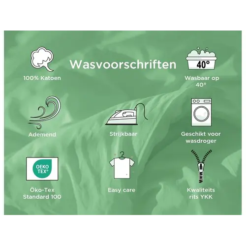 Jurassic World Dekbedovertrek T-Rex - 140 x 200 cm / 70 x 90 cm - Katoen