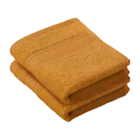 De Witte Lietaer Gastendoekje Stephanie Copper - 30 x 50 cm - 2 stuks - Oranje - Katoen