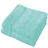 De Witte Lietaer Handdoek Stephanie Plume - Set 2 stuks - 50 x 100 cm - Groen - Katoen
