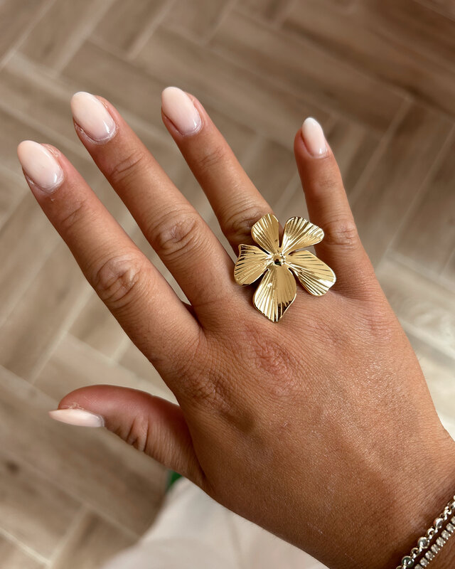 ring stainless steel 8