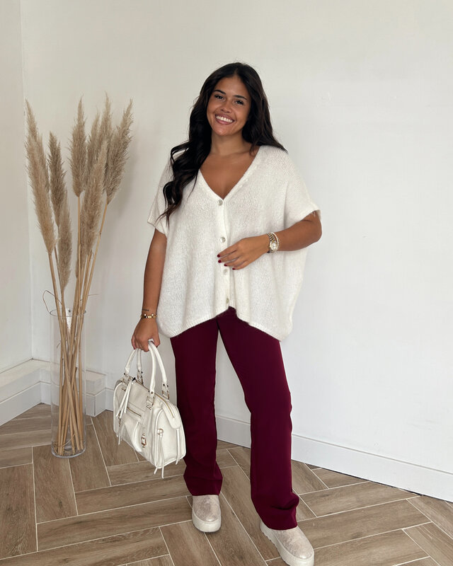 classy pants - bordeaux