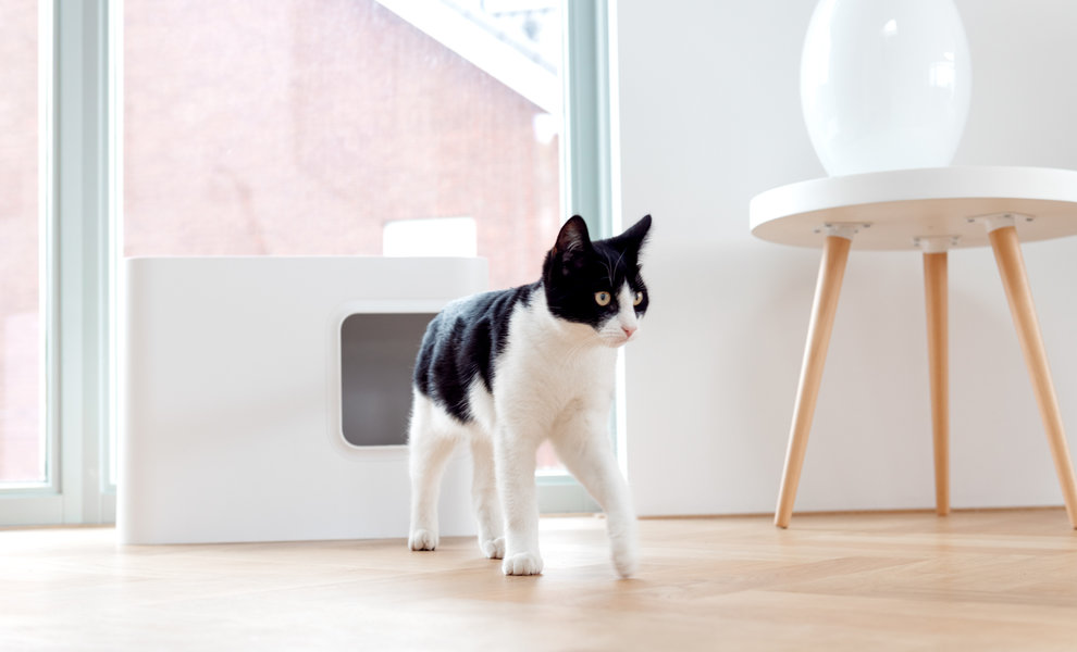 Hoe voorkom je de verspreiding van grit?