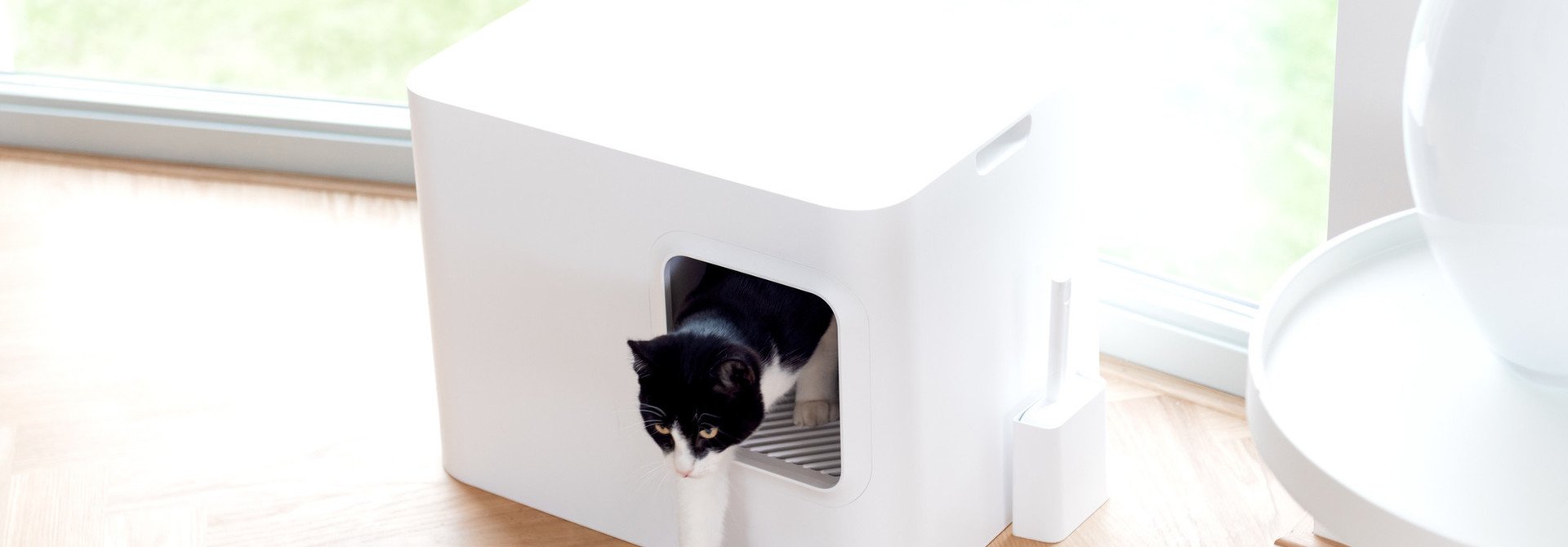 Customers share their thoughts about the Dome cat litter box