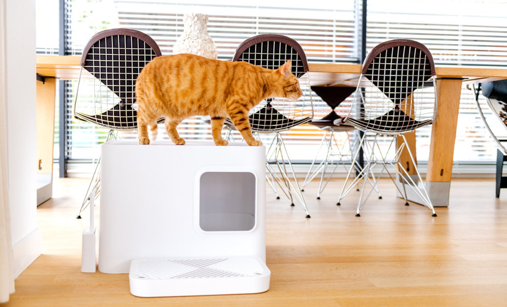 5 reasons to buy the Dome cat litter box