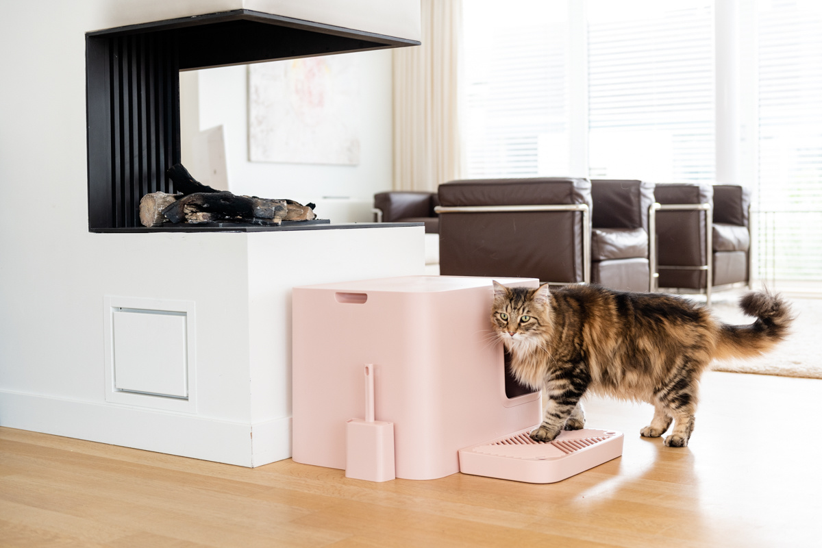 blind cat litter box