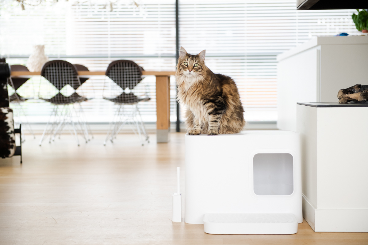 Dome Plus Cat Litter Box White