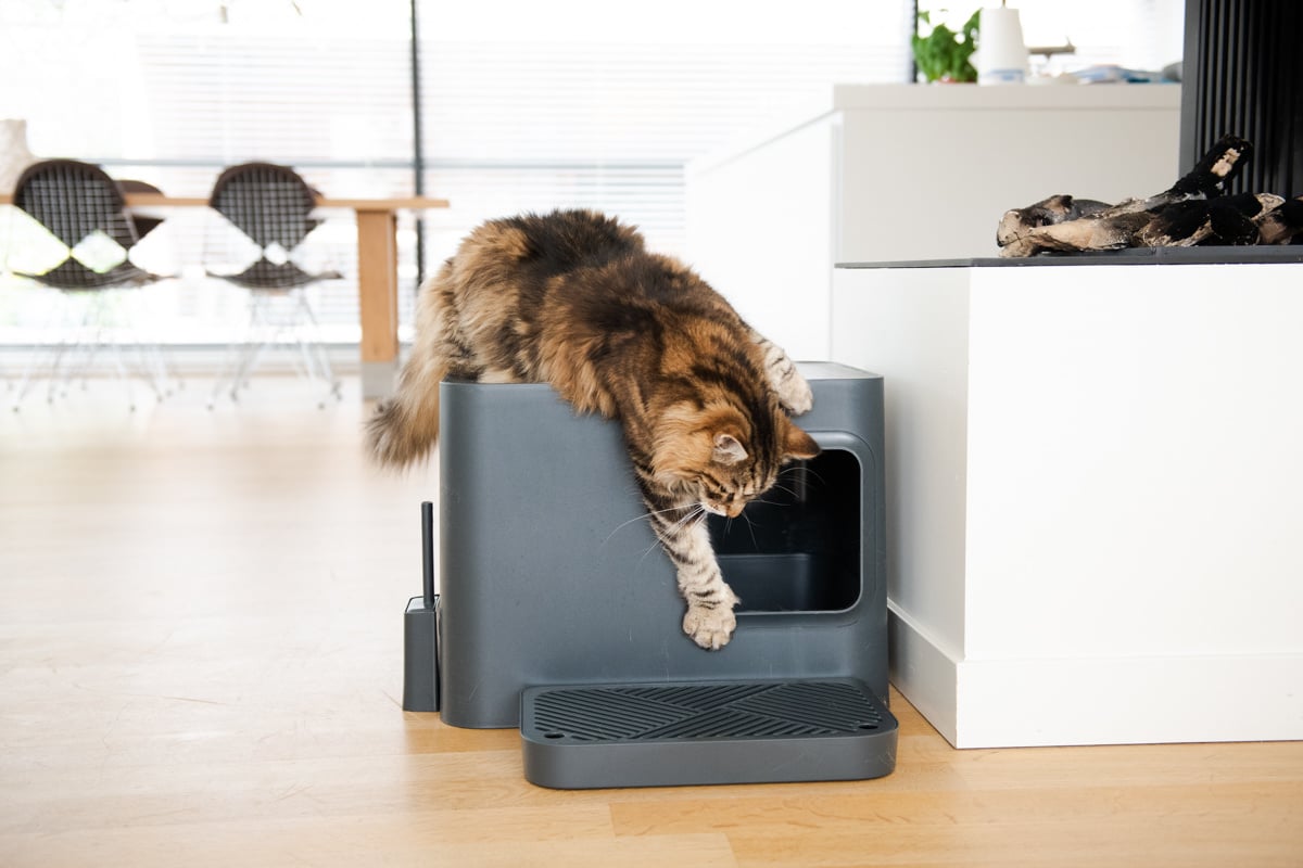 Dome Plus Cat Litter Box Grey