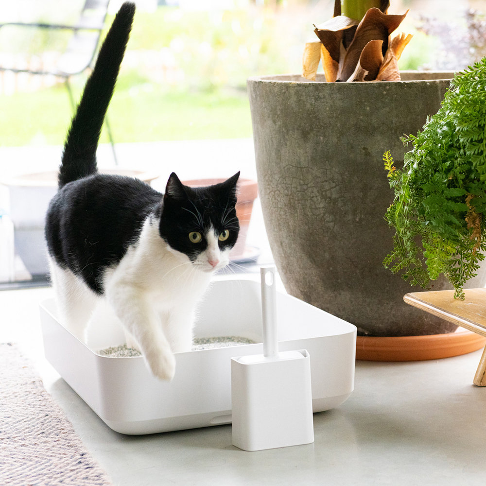 Poh Cat Litter Box White + Tofu-9