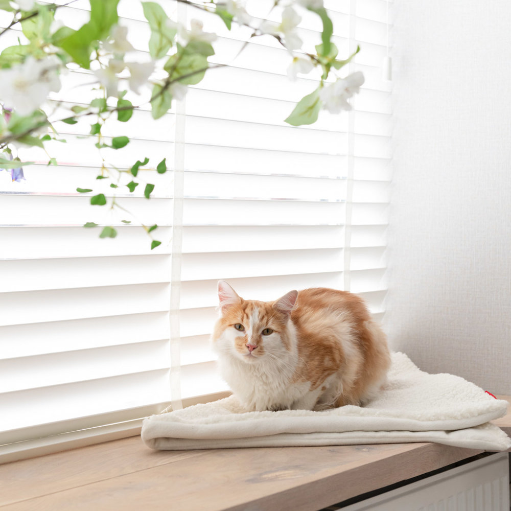 Tri couverture pour chat Blanc-2