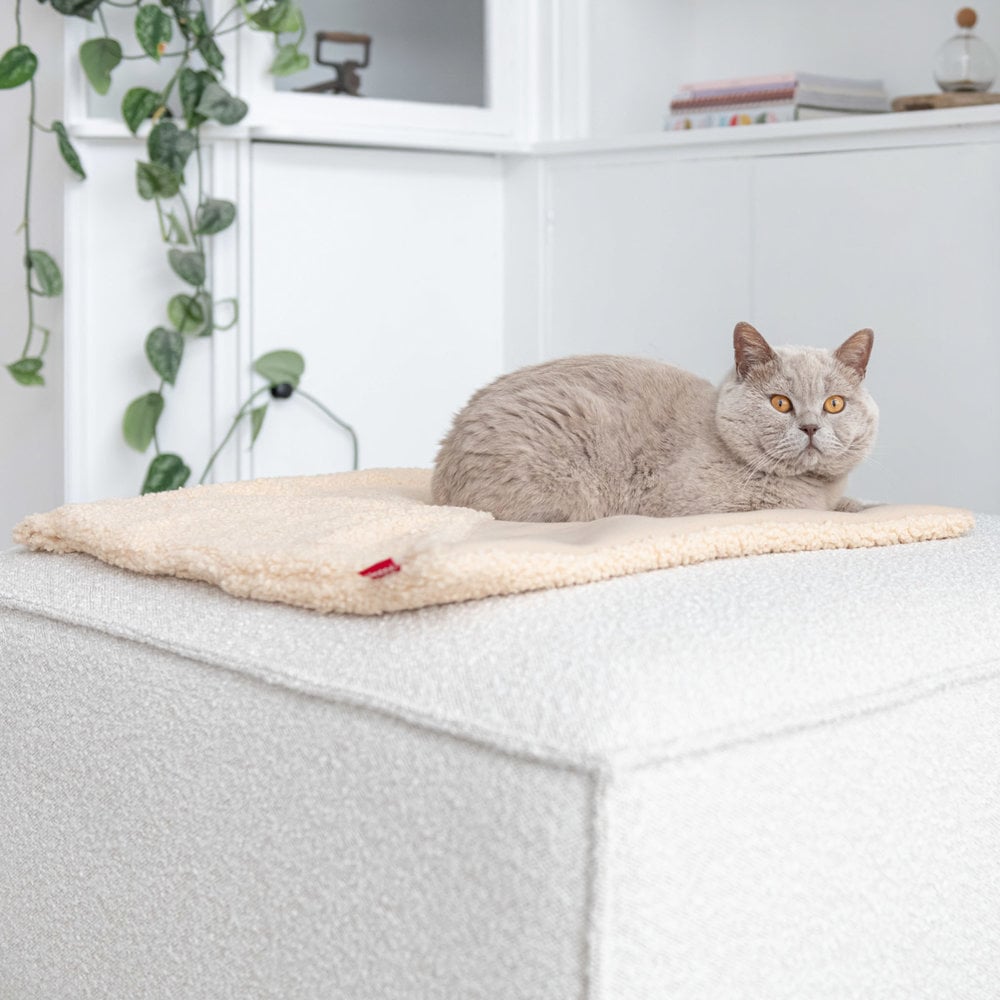 Tri Cat Blanket brown-9