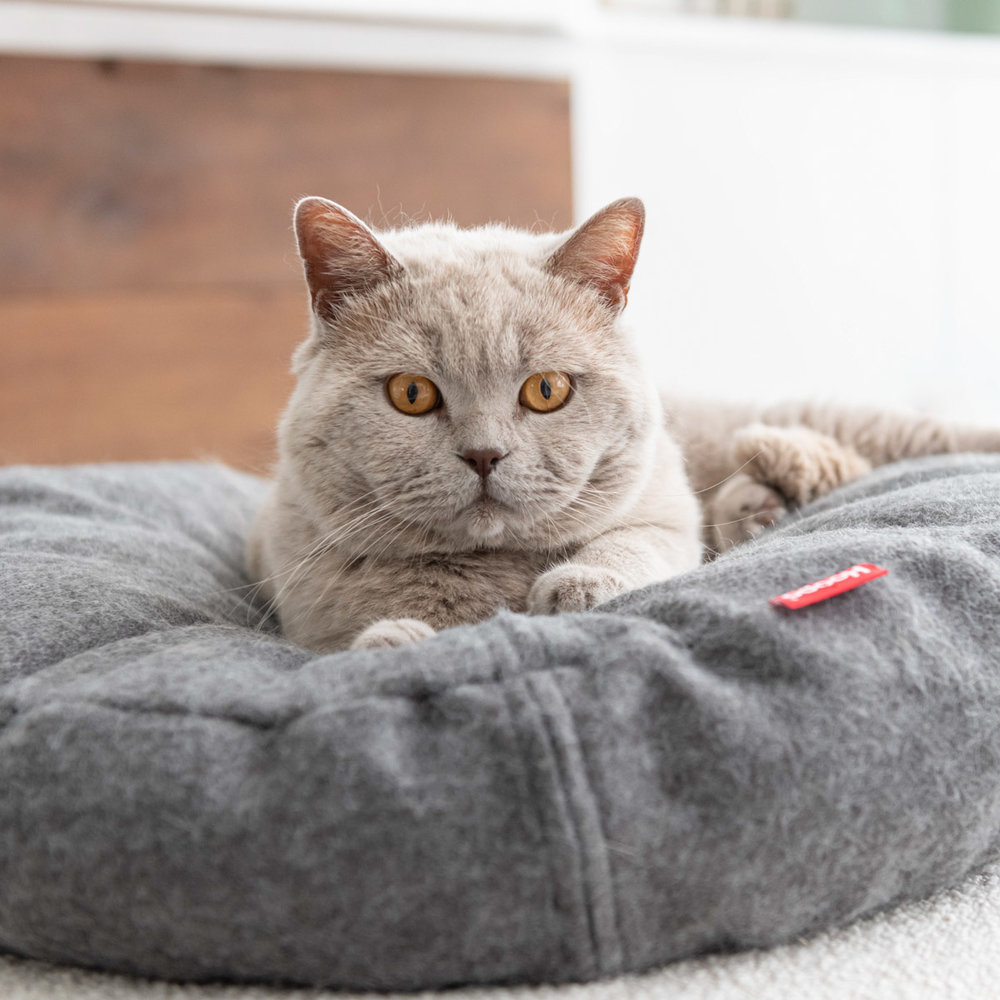 Donut Cat Bed salmon pink-6