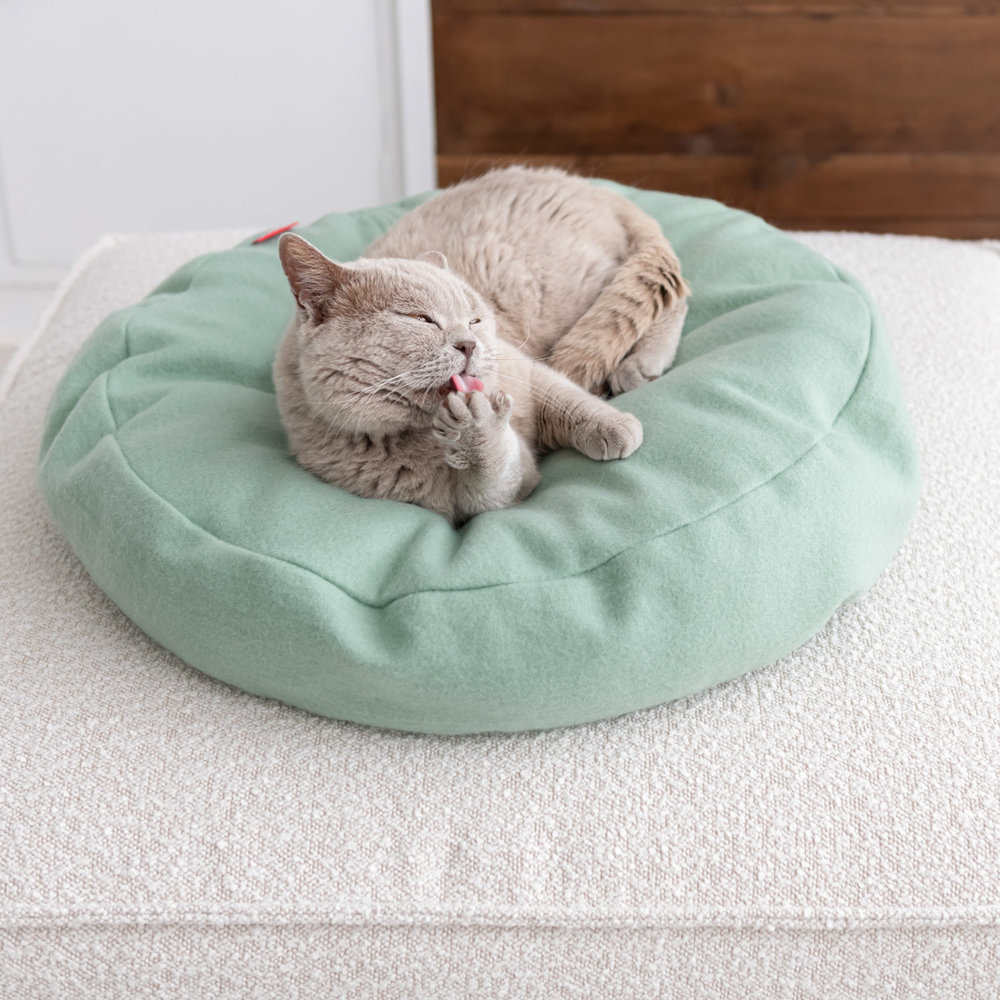 Donut Cat cama gris oscuro-4