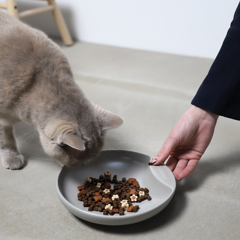 Plate Cat food bowl grey-6