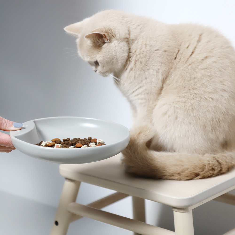 Plate Cat food bowl pink-3