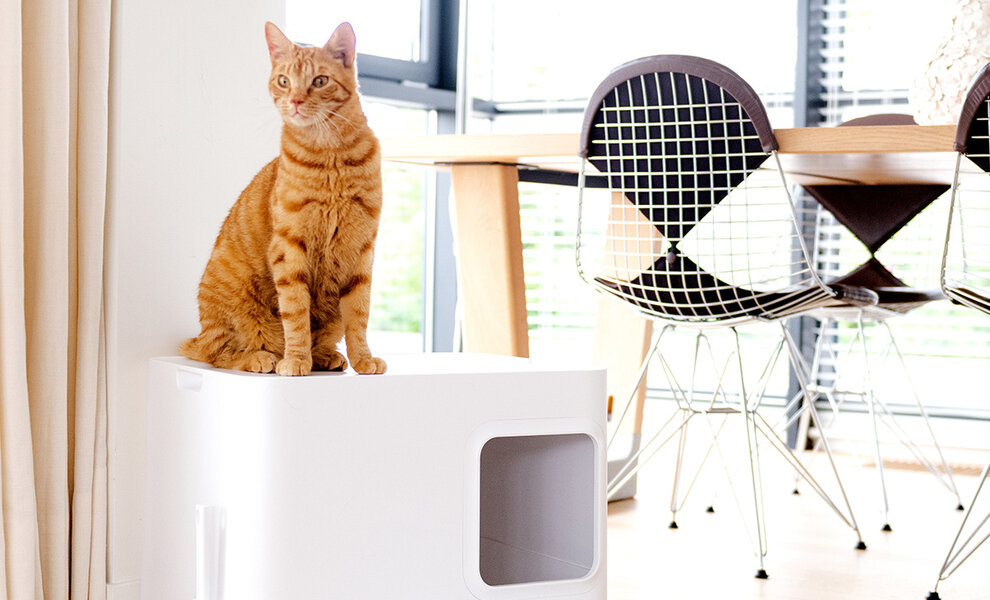 Welke kattenbakvulling is de beste?