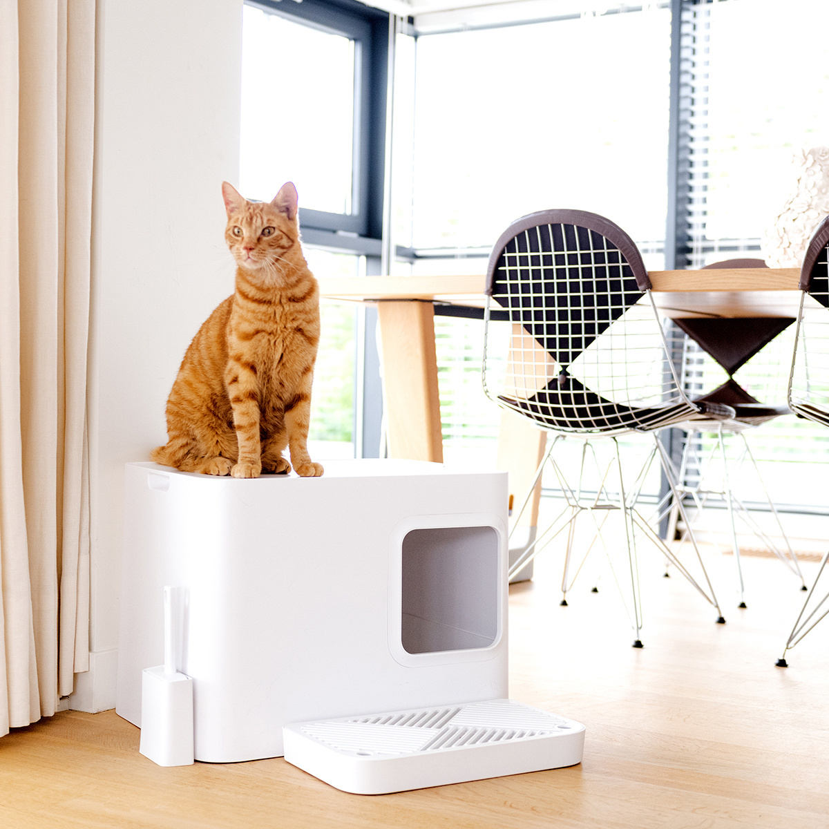 Quelle est la meilleure litière pour chat ? Hoopo®