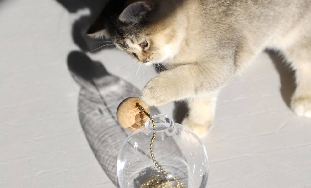 Cat toys: Tips & ideas for fun interaction with your cat