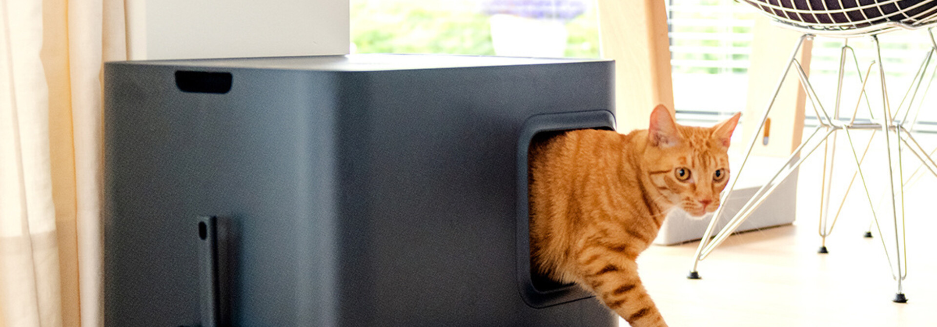 Choosing the right litter box