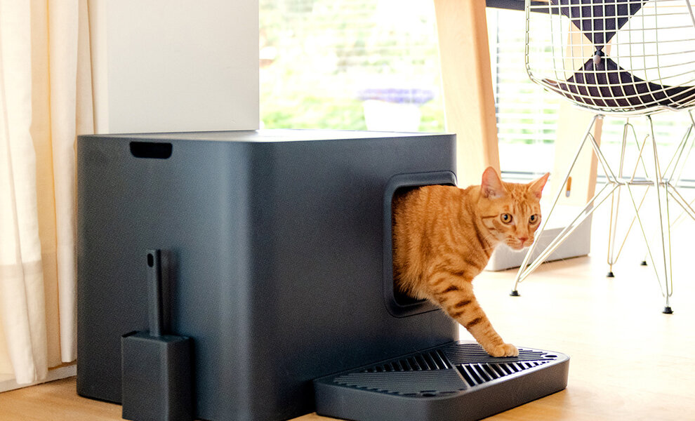 Choosing the right litter box