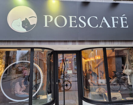 Poescafé Leuven