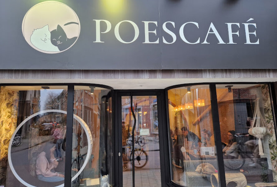 Poescafé Leuven