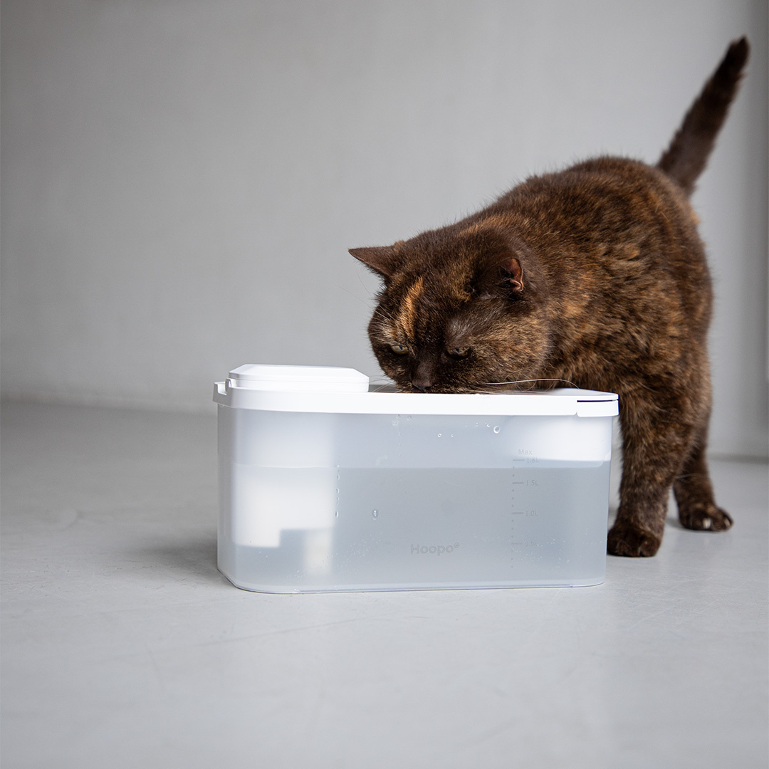 Fontaine à eau pour chat ultra silencieuse et sans fil Hydr