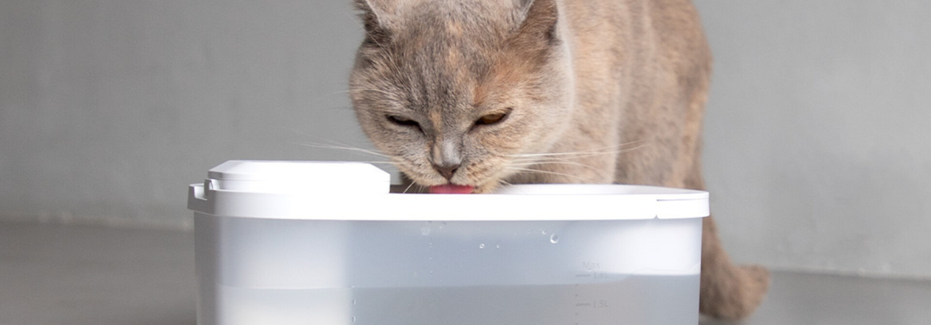 5 reasons to buy the Hoopo® Hydr SMART water fountain 