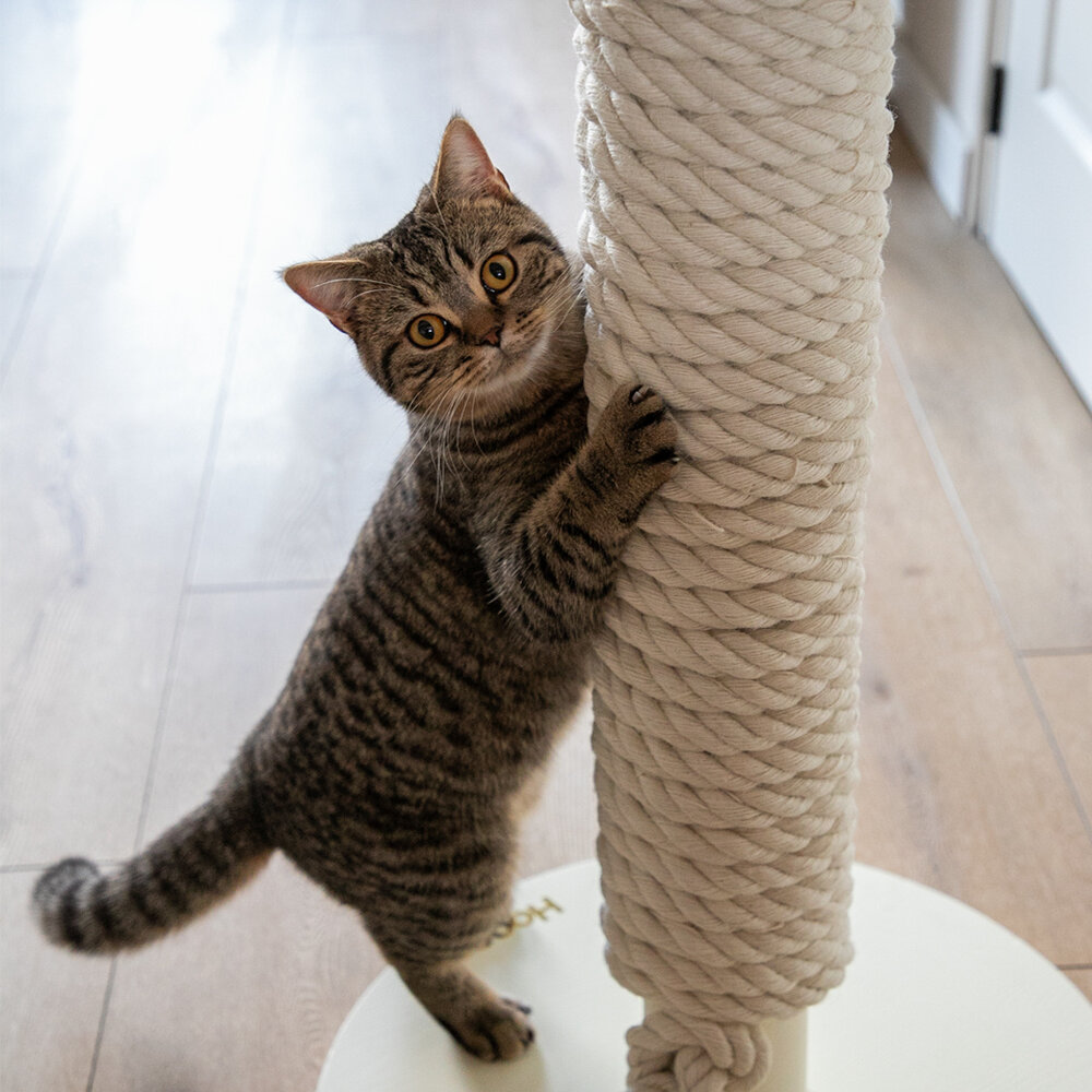 Totem scratching post White-7