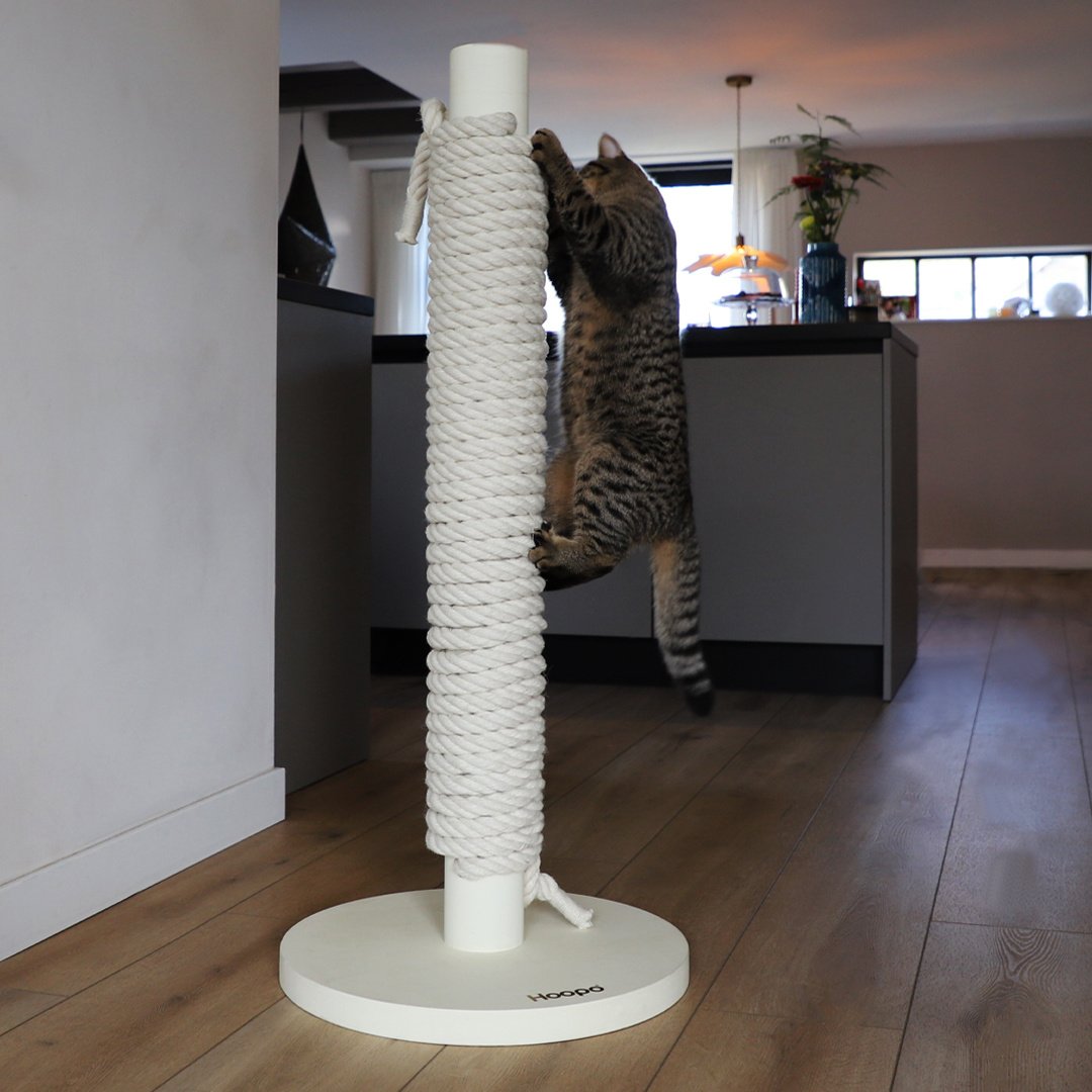 Totem scratching post Black