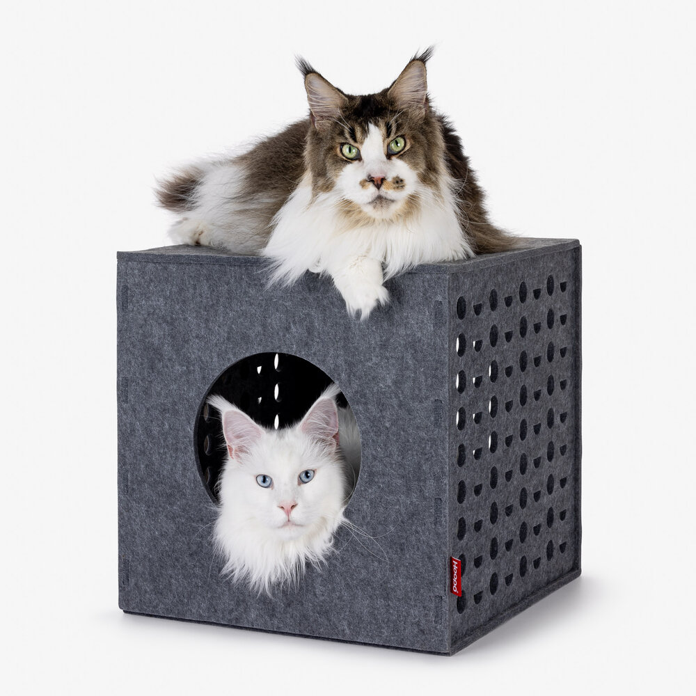 Cube Grey-5