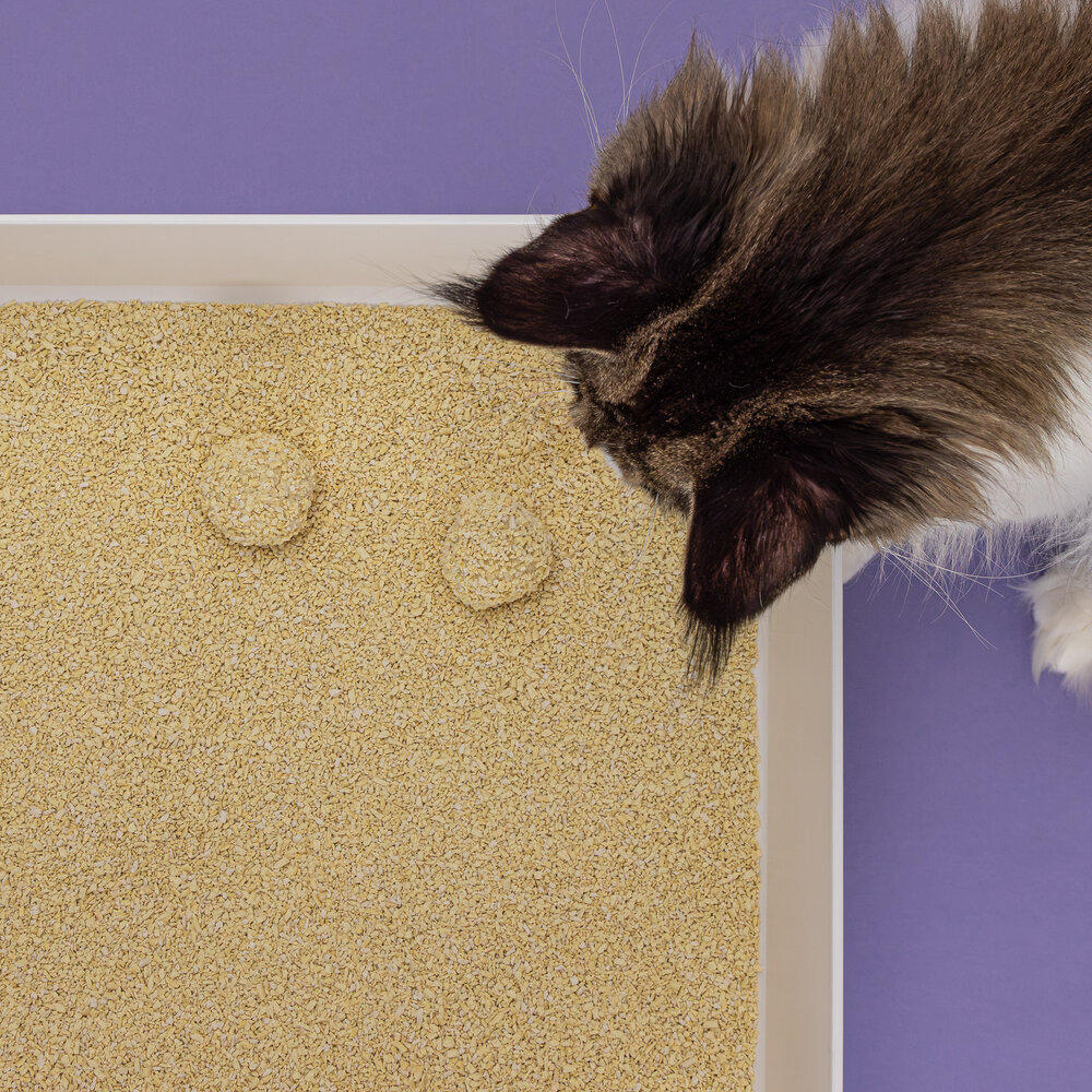 Tofu Fine Cat Litter 4x 7L-5